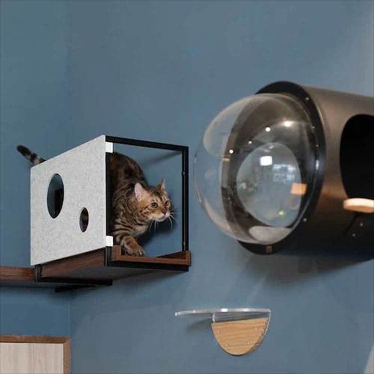 AVENUECOVER �L���b�g�X�e�b�v L�T�C�Y MZ0100 _8