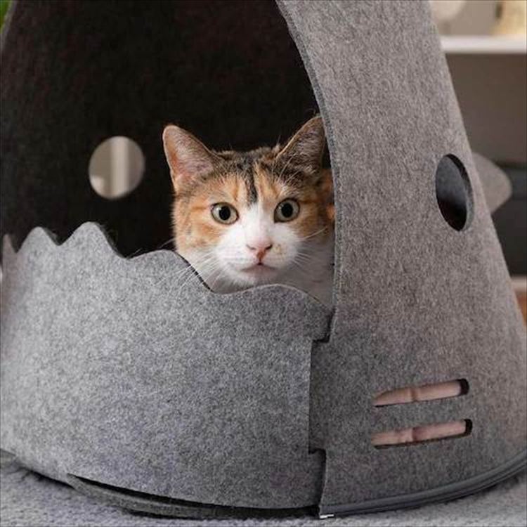 NEKOSHARK サメ型猫ベッド MZ0101 _5