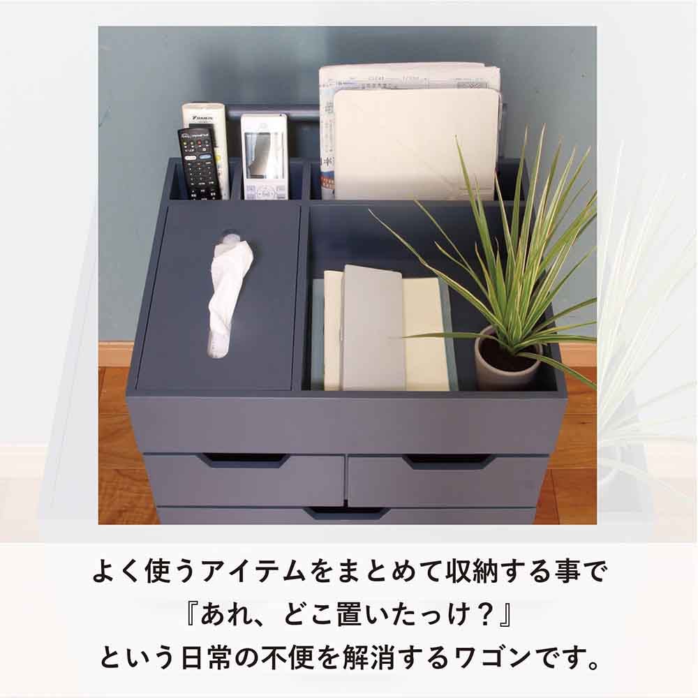 �Y�ꕨ�h�~���S�� RSP-WG1 �O���[_10