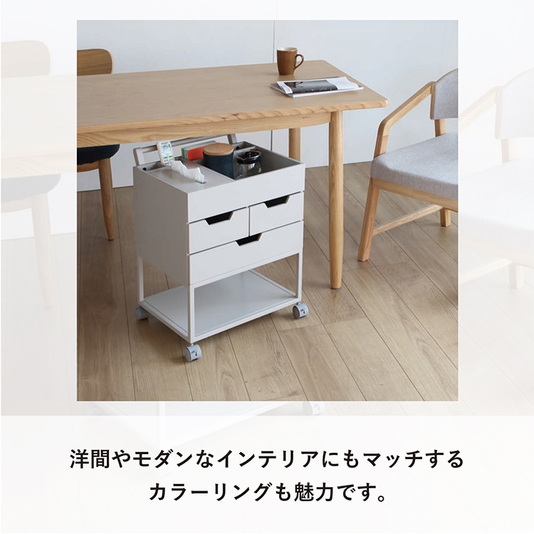 �Y�ꕨ�h�~���S�� RSP-WG1 �l�C�r�[_2