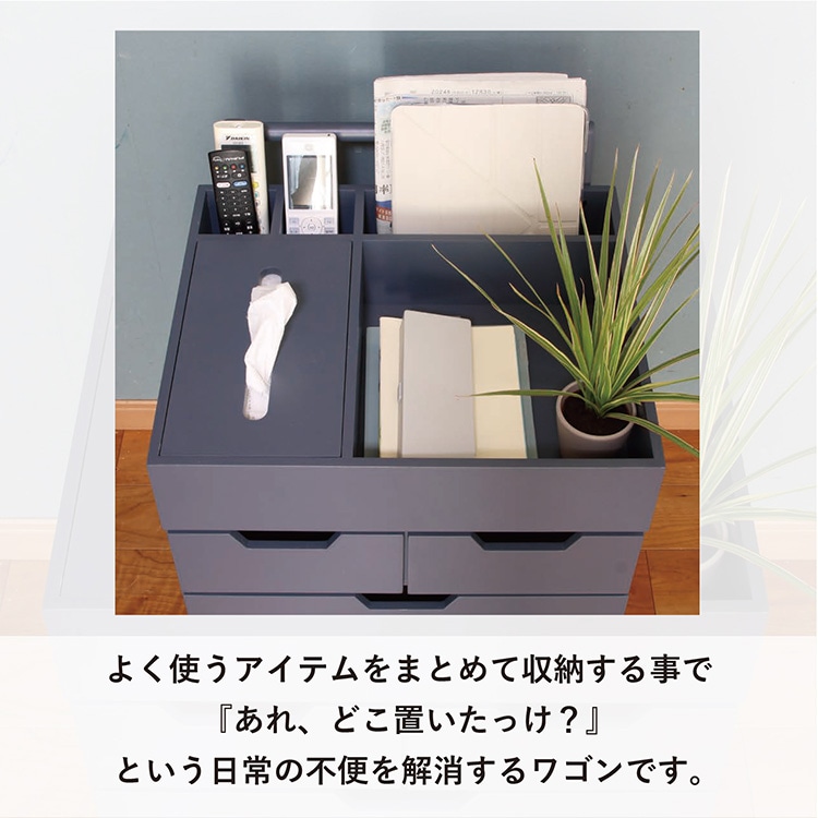 �Y�ꕨ�h�~���S�� RSP-WG1 �l�C�r�[_3