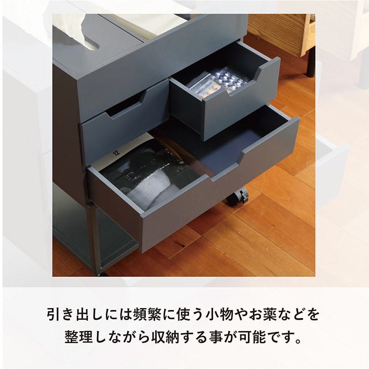 �Y�ꕨ�h�~���S�� RSP-WG1 �l�C�r�[_4