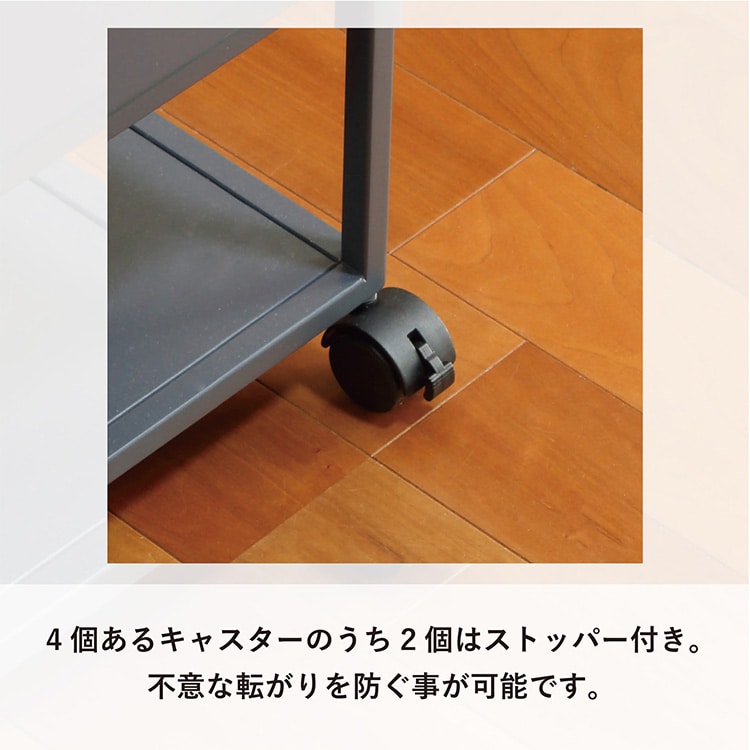 �Y�ꕨ�h�~���S�� RSP-WG1 �l�C�r�[_6