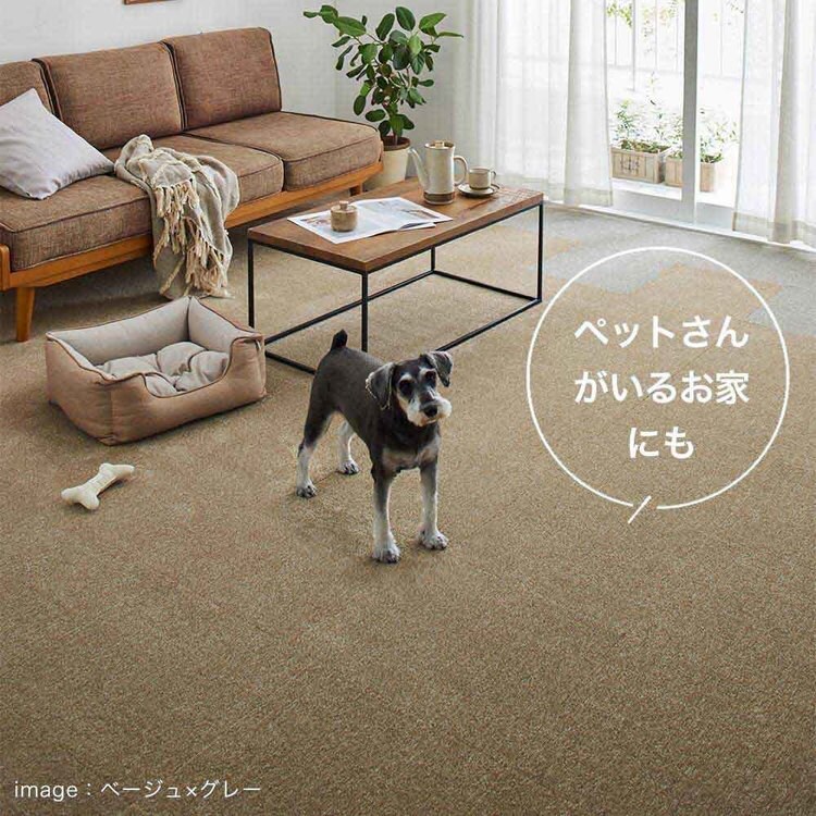 RUGRUG �ƒ�p�^�C���J�[�y�b�g �\�t�g�t�B�[�� 131-40957 �A�C�{���[_5