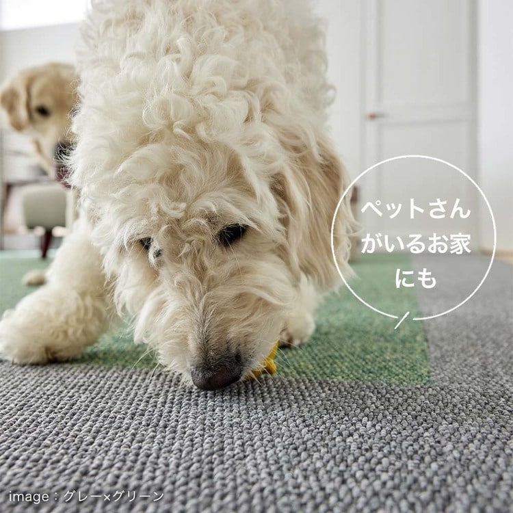 RUGRUG �ƒ�p�^�C���J�[�y�b�g �t���[���[�v 132-86897 �A�C�{���[_6