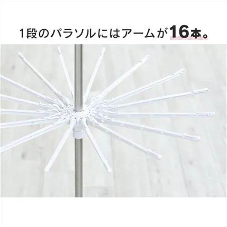 p\b2i_1