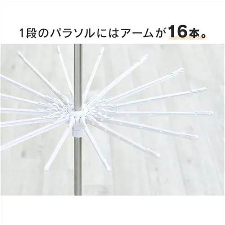 p\b2i_5