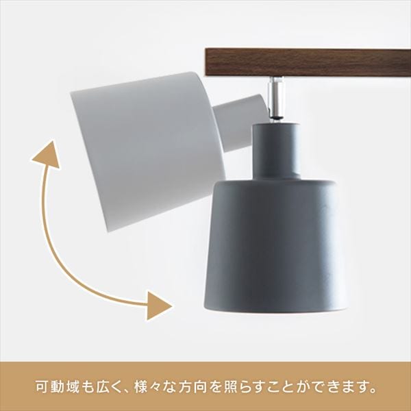 4���V�[�����O���C�g �N���X�^�C�v �v���X�C�b�`�� �u���E�� E26 CE4LA-20C-T_8