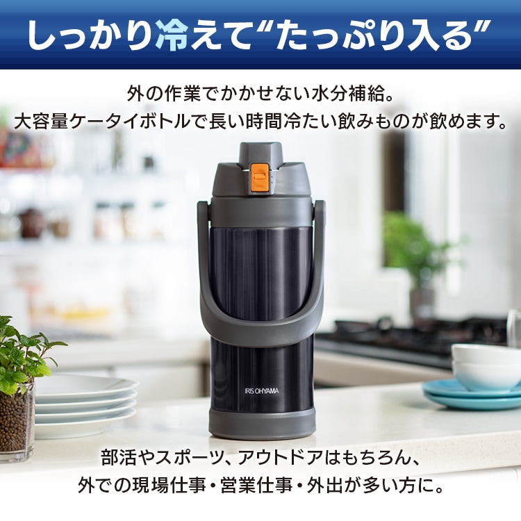 �X�e�����X�P�[�^�C�{�g�� �X�|�[�c�W���O SJ-2000 �u���[_2