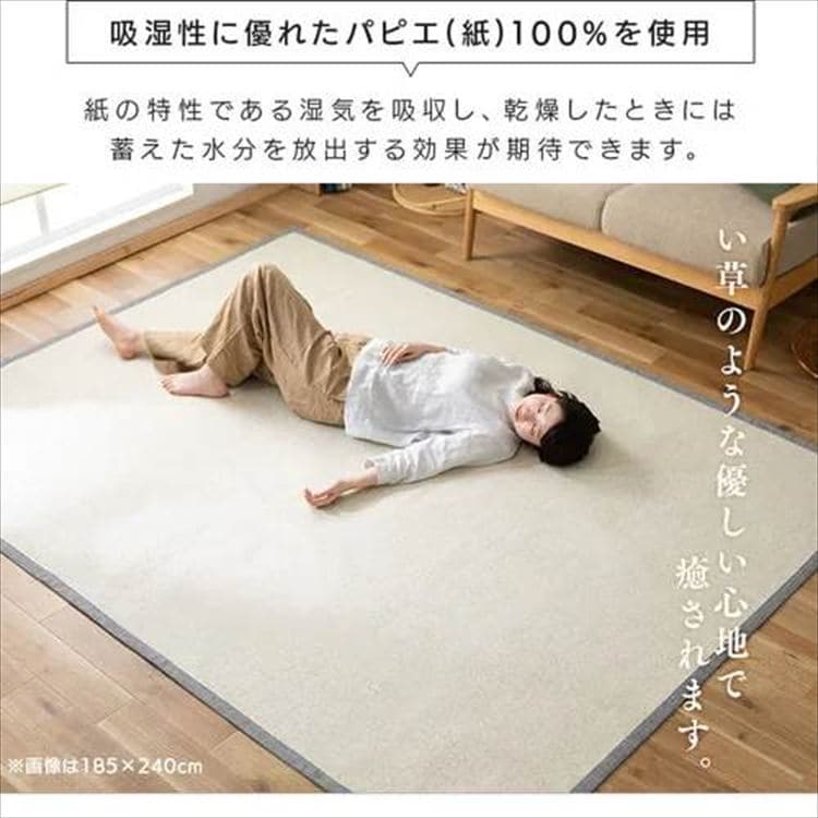 y15OFFN[|8,483~za_psGO185~240cmx[W~J[L_5