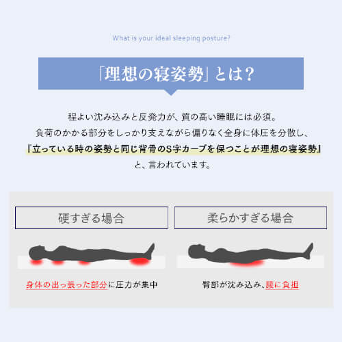 Sheep |PbgRC}bgXb23cmbd߁b_ubzCg_10