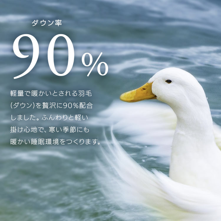 HтӂƂ [U1000g AC{[_2