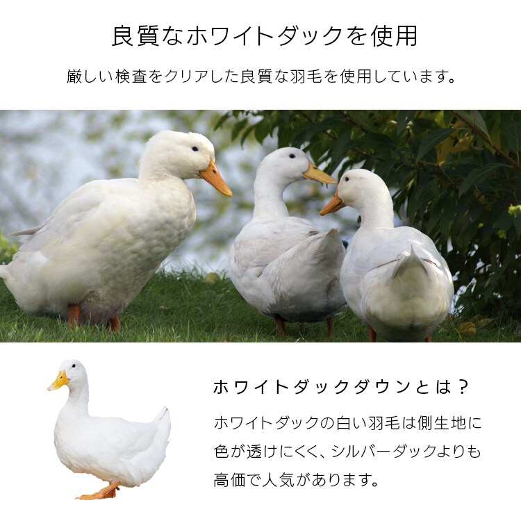 HтӂƂ [U1000g AC{[_5