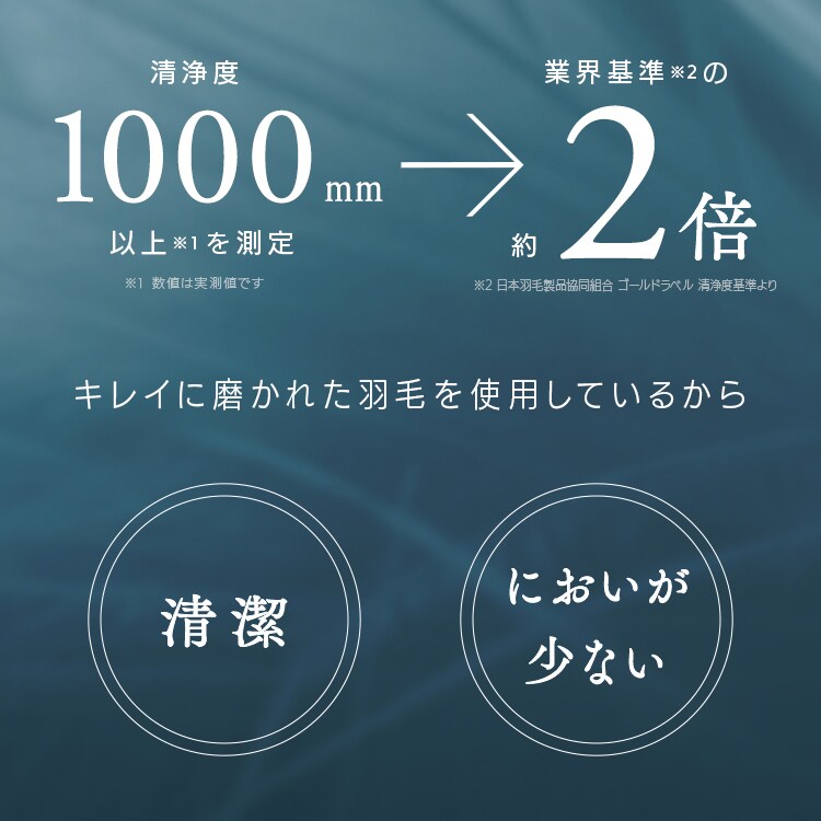 HтӂƂ [U1000g AC{[_13