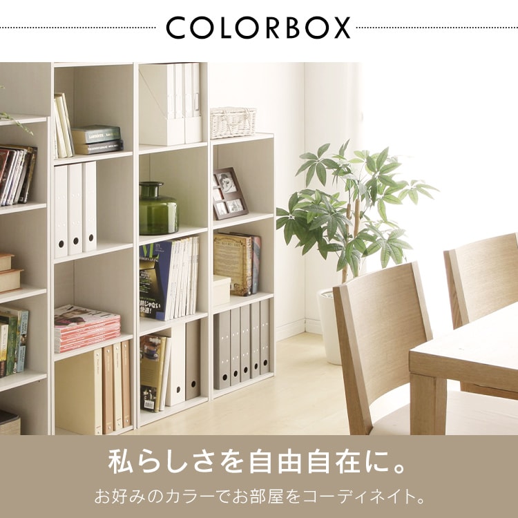 �yA4�T�C�Y�Ή��z�J���[�{�b�N�X 3�i  CX-3F �u���E��_2