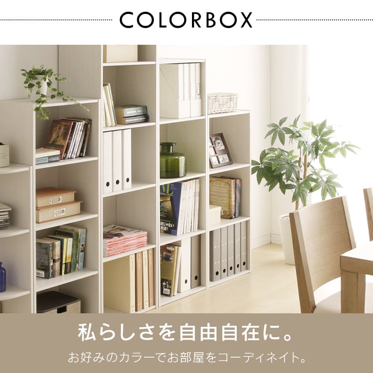 �yA4�T�C�Y�Ή��z�J���[�{�b�N�X 4�i  CX-4F �i�`������ _2