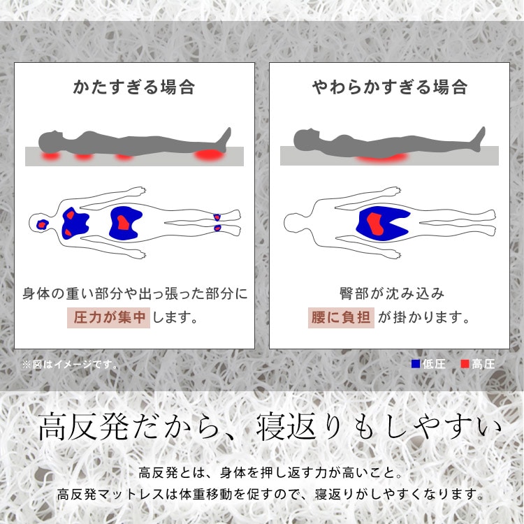 GA[}bgX Softe AMSF80-S_12
