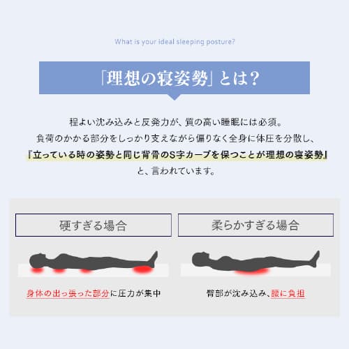 Sheep |PbgRC}bgXbɌb30cmbd߁bzCgbVO_9