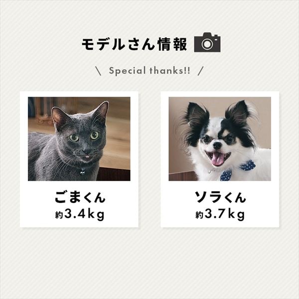 XNGAybgxbhbEH[ibg_12