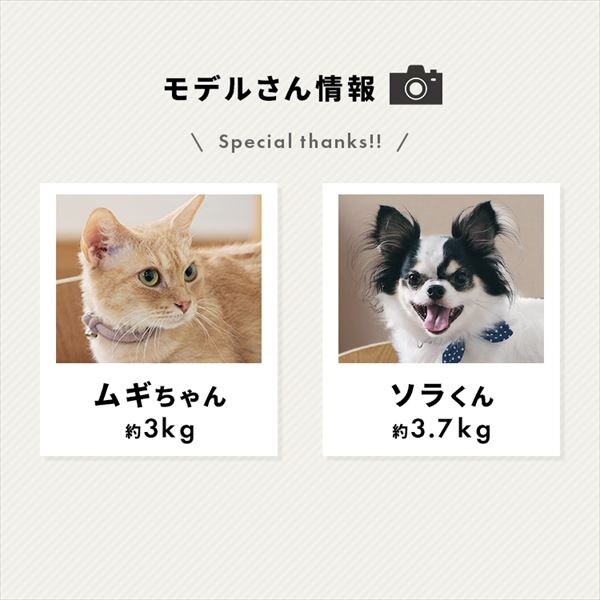 I[oybgxbhbi`_12