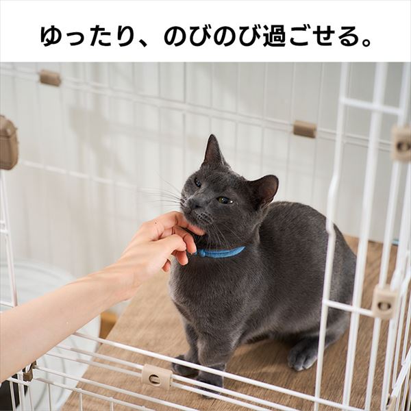 EbfBLbgP[W2ib  EH[ibg_1