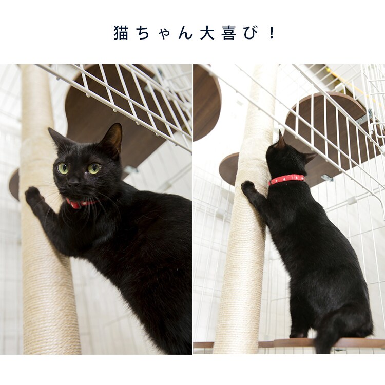 ߂Ƃ|[bLbghP[Wp _4