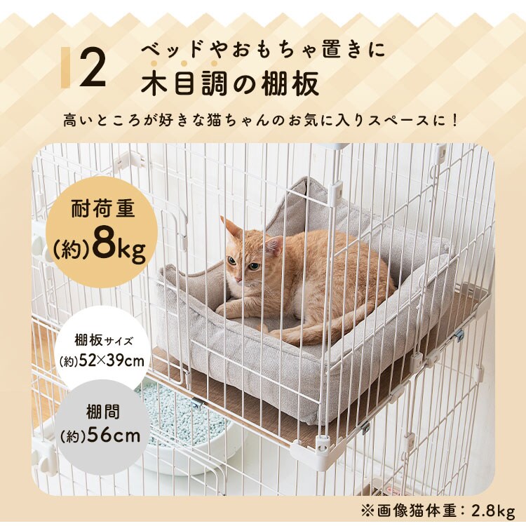 ybgP[WbEH[ibg_10