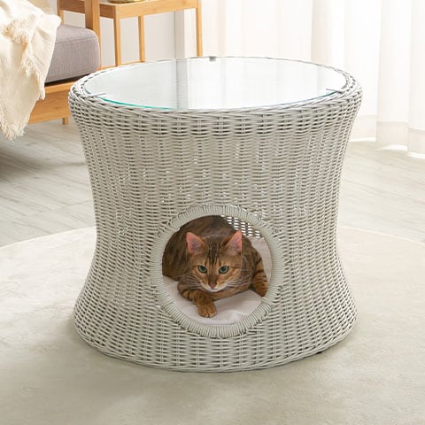 �y�b�g�n�E�X���e�[�u��