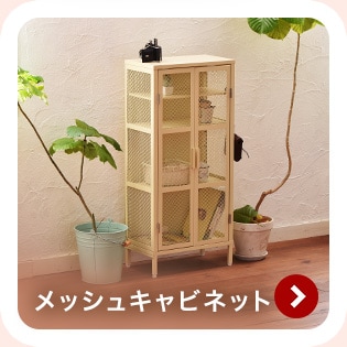 ���b�V���L���r�l�b�g