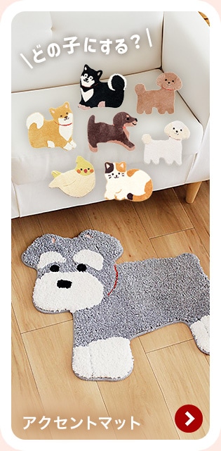 �A�N�Z���g�}�b�g