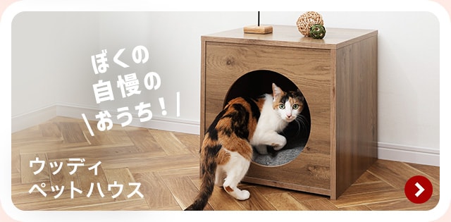 �y�b�g�n�E�X