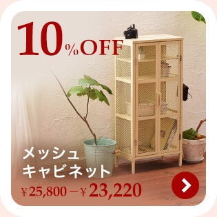 ���b�V���L���r�l�b�g