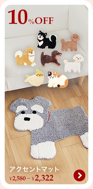 �A�N�Z���g�}�b�g