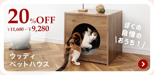 �y�b�g�n�E�X