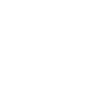 }bgX