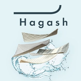 Hagash �͂����Đ􂤃��O