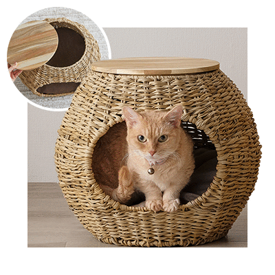 ���^�����y�b�g�n�E�X