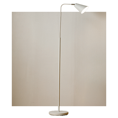 �t���A�����v�i�D��������̃X�^���h���C�g�j